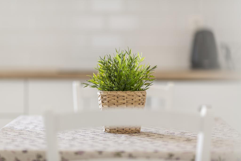 Apartmani Mariela Maslinica Εξωτερικό φωτογραφία