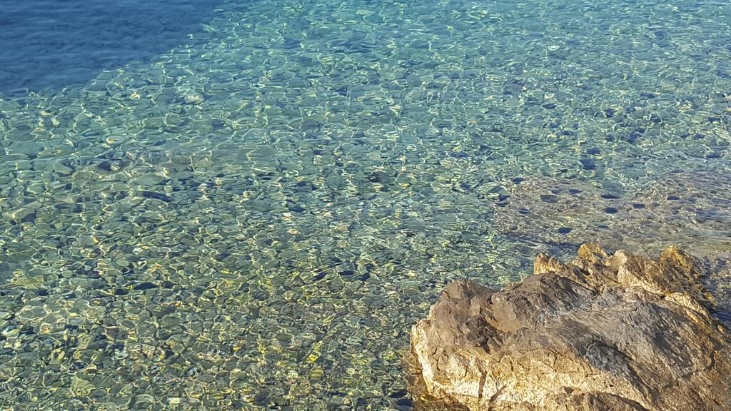 Apartmani Mariela Maslinica Εξωτερικό φωτογραφία