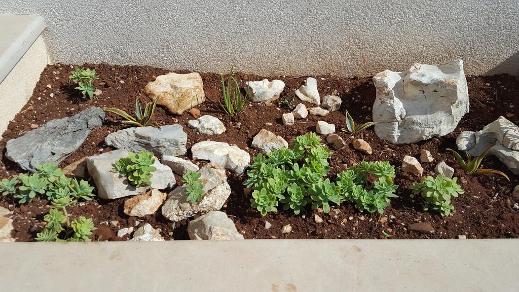 Apartmani Mariela Maslinica Εξωτερικό φωτογραφία